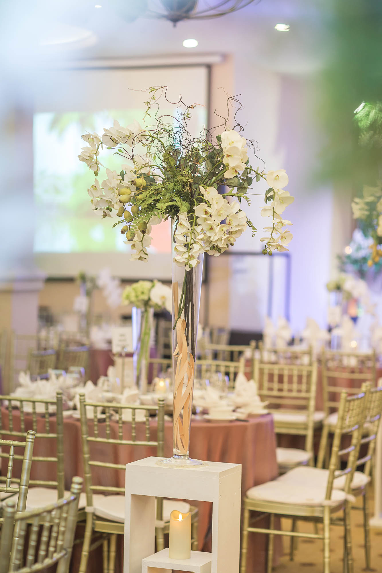 Orchid Wedding – Tiệc Cưới Sang Trọng Tại Le Jardin Orchid Wedding – Tiệc Cưới Sang Trọng Tại Le Jardin